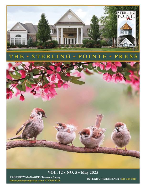 Sterling Pointe